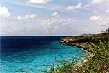 Bonaire Coast