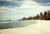 Brac Beach Scene