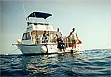 Boat Dive