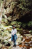 Trail in Blue Mts.