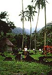 Tahiti Exploring