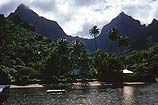 Paradise in Moorea