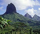 Moorea Mountains